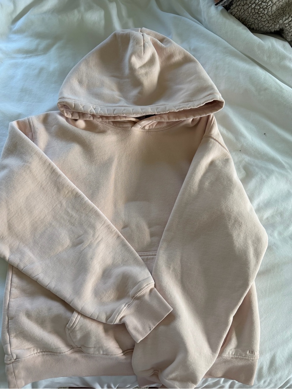 RARE Aritzia Cozy Sweatfleece Hoodie in Pale Blush